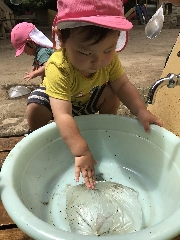 にじぐみだより🌈